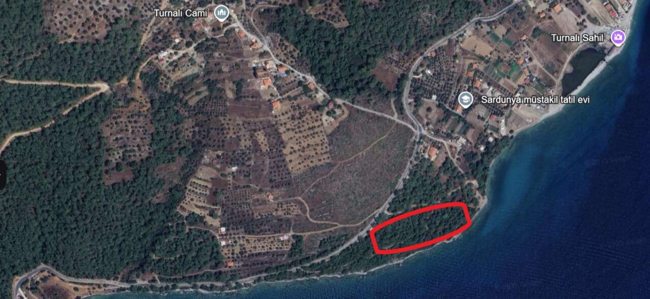 Muğla'da Birinci Derece SİT Alanındaki Orman Parkı İhaleye Çıkarıldı, Çevreciler Tepkili 15